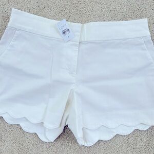 Ann Taylor LOFT White Scallop Hem Riviera Shorts